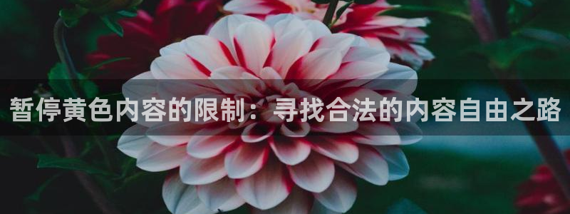 bt动漫天堂