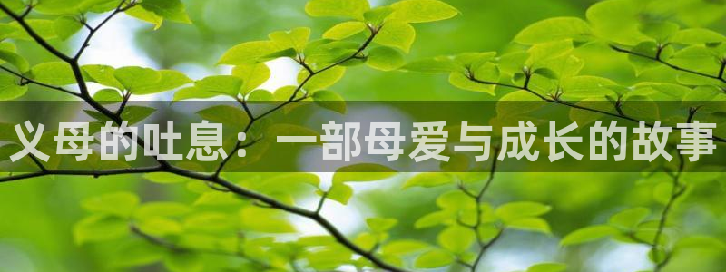 黄动漫天堂