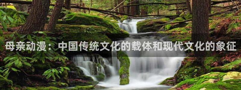 动漫天堂电影：母亲动漫：中国传统文化的载体和现代文化的象征