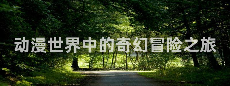 同人动漫天堂