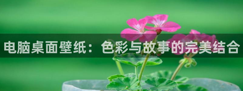 动漫天堂免费在线观看