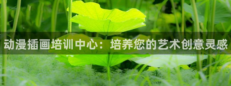 动漫天堂在线
