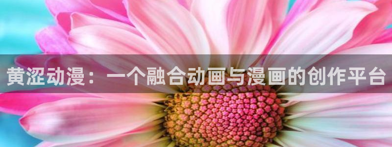 动漫天堂下载