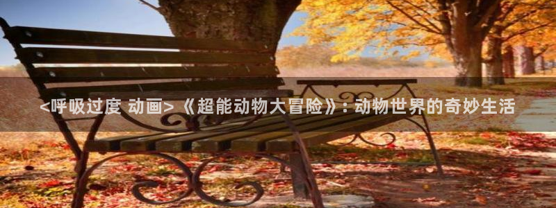 禁动漫天堂