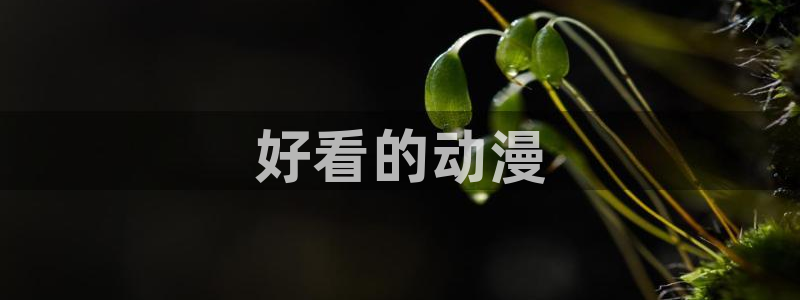 动漫天堂在线免费观看