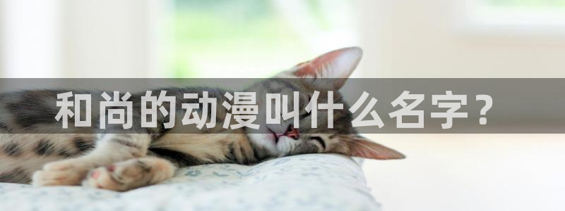 动漫天堂下载