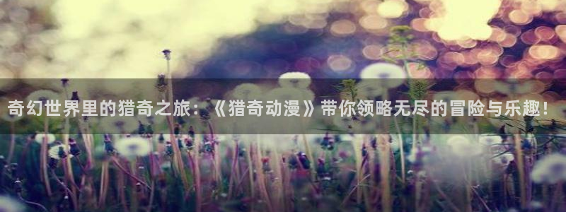 动漫天堂软件