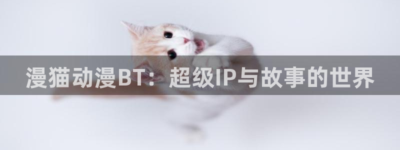 www.动漫天堂