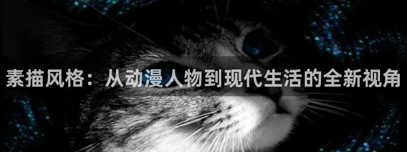 动漫天堂岛