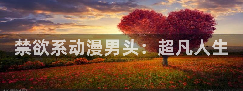 动漫天堂
