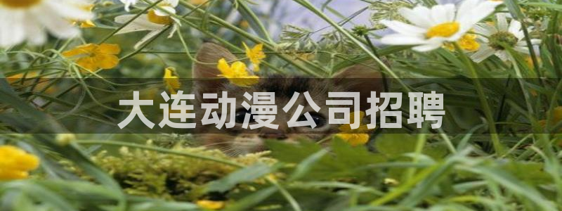 3d动漫天堂