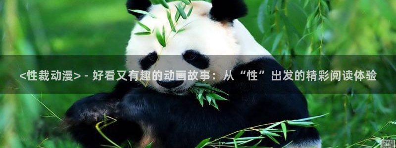 动漫天堂免费观看