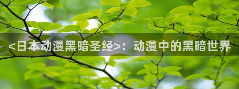 动漫天堂总站