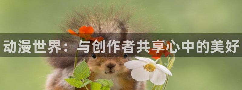 番剧推荐动漫天堂.
