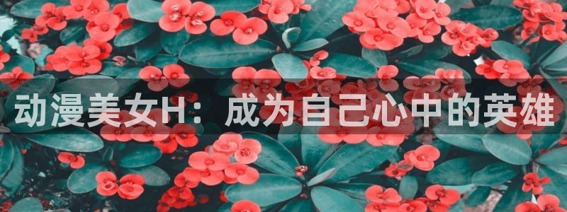 动漫天堂官方正版下载