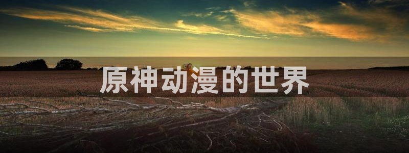 cos动漫天堂官网下载
