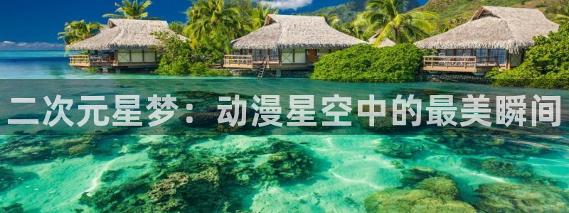 秋叶原动漫天堂