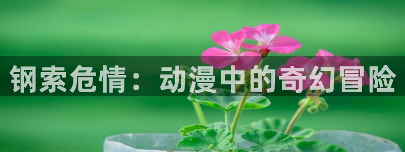 av动漫天堂网