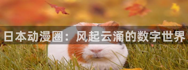h动漫天堂