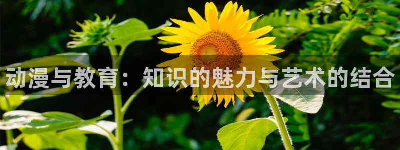 动漫天堂从哪下载安装
