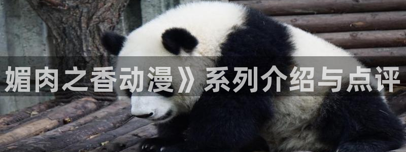 动漫天堂总站