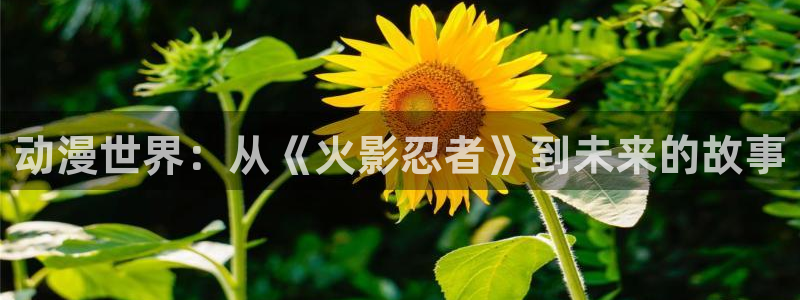 原神动漫天堂免费入口