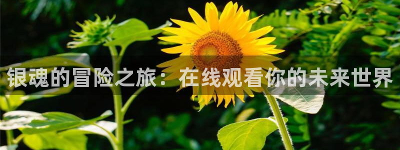 男人动漫天堂在线