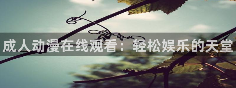 动漫天堂下载官方