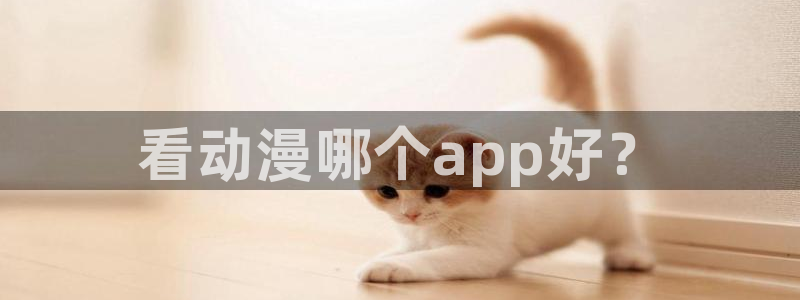免费动漫天堂之吻