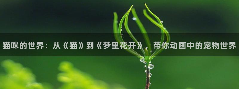 91动漫天堂