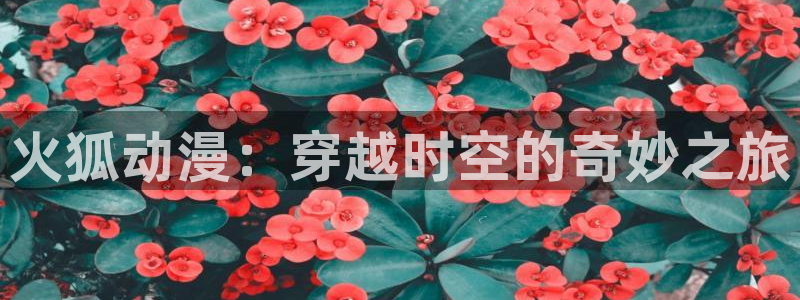 coco动漫天堂
