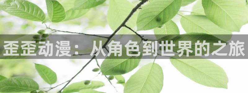动漫天堂.